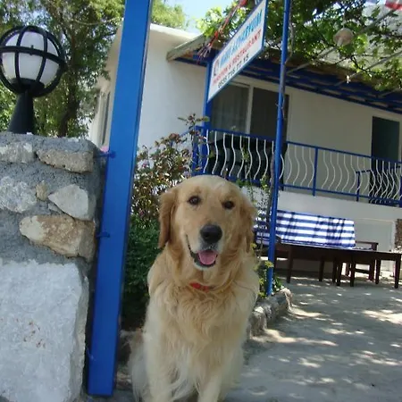 Mavi Akvaryum Pension * Söğüt